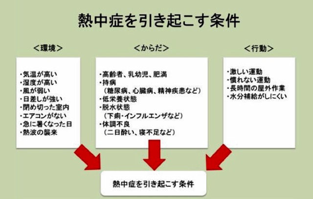 熱中症を引き起こす条件