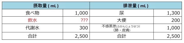 水分の摂取と排泄