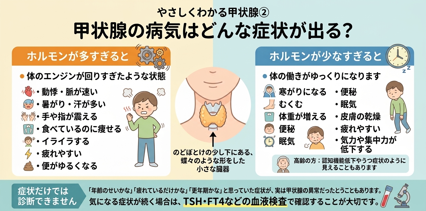 甲状腺の病気の全身症状